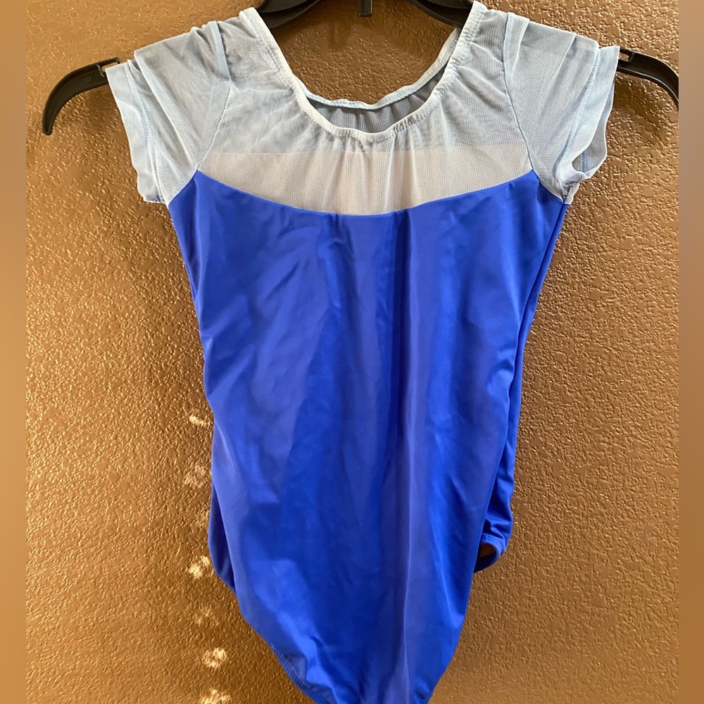 Blue leotard